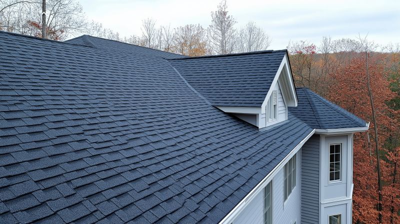 Roofing Materials Showcase